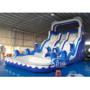 China Double Lanes Inflatable dolphin Water Slides with pool EN14960 For Adults and kids supplier