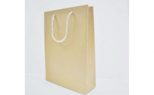 Promotional Craft Paper Packaging Bags, Custom Paper Gift Bags For Store,