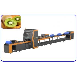 China Kiwi Intelligent Fruit Sorting Equipment 380V 1 Channel Computer Control supplier