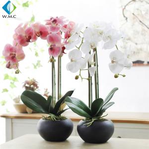 63cm Height Artificial Potted Plants , Fake Phalaenopsis Orchid 5-10 Years Life Time