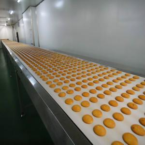 China Biscuit Production Line Flat Belt Conveyor 0.4kW - 22kW Power High Efficiency supplier