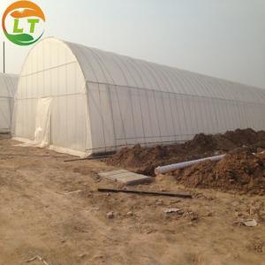China Tunnel Greenhouse for Hydroponic Crop Growing Height Can Be Customized by Inner Plants supplier