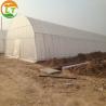 China Plastic Shed Winter Tomato Greenhouse for Crops Width Defined by Area wholesale