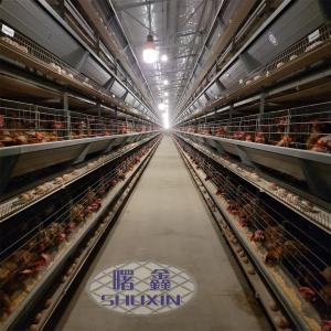 China Automatic 160 Birds Layer Poultry Farm Cage For Egg Layers supplier