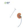 China Dual Lumen Ureteral Access Sheath Endoscopic Procedures Access Sheath Urology wholesale
