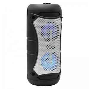 10W Indoor Outdoor Double 4" Karaoke Speaker