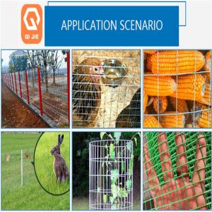 China La jaula de pájaros galvanizada soldada con autógena electro soldó con autógena el alambre Mesh Multifunctional del hierro supplier