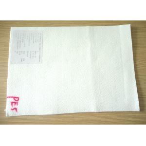 China 5 Micron PE Micron Filter Cloth / Filter Fabric For Industry Liquid Filter Bag supplier