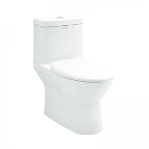 Ceramic Bathroom One Piece Toilets , Washdown Flushing 1 Piece Wc