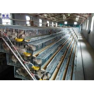 A Type Quail Laying Cage , Commercial Pvc Quail Cage Customized Service