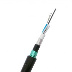 China 2-288 Fibers Armored Fiber Optic Cable GYTS53 Direct Buried Stranded Loose Tube supplier