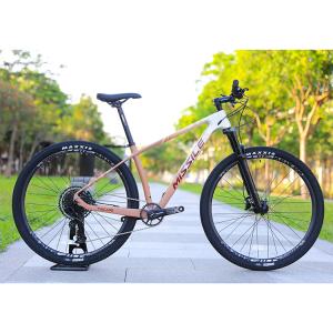 China Hydraulic Disc Brake Alloy Mountain Bike with 29 Inch Big Wheels and 160mm Brake Pad supplier