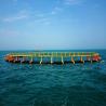 Material Handling Machinery Fish Farming Cage 250.00cm * 110.00cm * 6.80cm Package for Aquatic