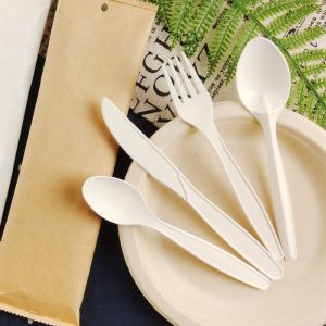 China OEM PLA Disposable Plastic Cutlery Packs Flatware Cutlery Sets Flight Spoon Fork And Knife Kit wholesale