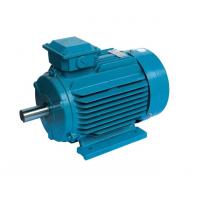 China Industry Use Permanent Magnet Synchronous Electric Motor Manufacturer on sale