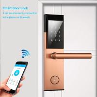 China Electronic WiFi App Sus304 Wifi Front Door Lock Smart Home Alkaline Batteries on sale