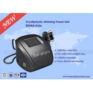 China Portable Body Sculpting Cryolipolysis Slimming And Weight Loss Machine supplier
