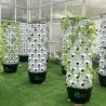 China Système de culture hydroponique compact et polyvalent pour économiser de l'espace wholesale