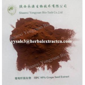 natural antioxidant Grape seed Extract, OPC 95%, WHITEN SKIN,  anti wrinkle, anti radiation, Shaanxi Yongyuan Bio-Tech