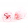 China Home Decoration Preserved Rose Heads For Arrangements And Decorations wholesale