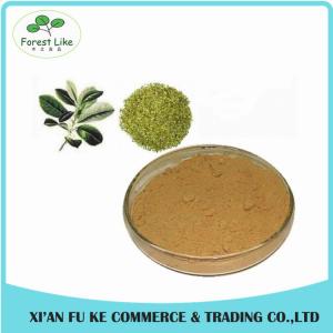 Best Selling Natural Yerba Mate Extract Polyphenol Tannin acid