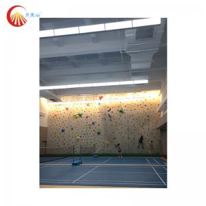 Playground Training Climbing Wall Gym Anti UV Rock Climbing Wall Board