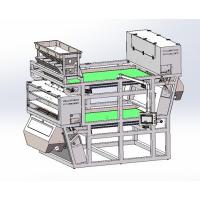 China Double Conveyor Belts Plastic Color Sorter Plastic Sorting Machine on sale