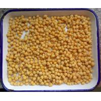 China Net Weight 567g Cooking Canned Chickpeas In Water Easy Open Lid For Salads on sale