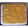 China Net Weight 567g Cooking Canned Chickpeas In Water Easy Open Lid For Salads wholesale