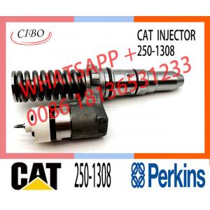 China Injector 250-1304 250-1306 250-1308 FOR engine 3508B/3512B/3516B supplier