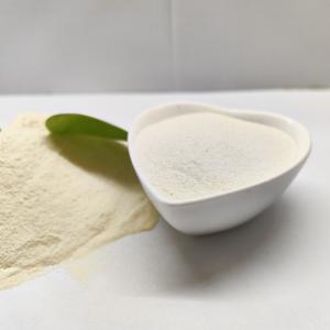 China Levadura en polvo para piensos para animales con proteínas solubles en ácido superior al 60% supplier