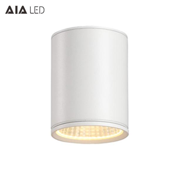 IP65 waterproof exterior circular TRIAC dimmable 50W COB LED down light&outside LED downlight for balneary