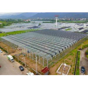 Irrigation Clear Glass Tomatoes Shade Greenhouse