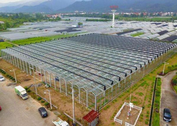 Irrigation Clear Glass Tomatoes Shade Greenhouse