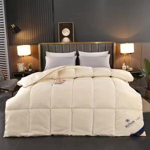Home 100% Polyester Thickened Warm 5 Star Hilton Hotel Textile Filling Quilt Duvet Bedding