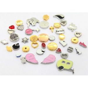 Stainless Steel Charms Collection for Stainless Steel Floating Glass Charm Lockets