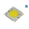 China White High CRI COB LED Array 150W 3200K / 5600K with Full Spectrum wholesale