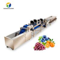 China Ligne de circulation de transformation de fruits de trou, rouleau de Tengsheng donnant la ligne de transformation de légumes on sale