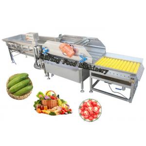 China Automatic Salad Fruit Air Bubble Cleaning Production Line Customized supplier