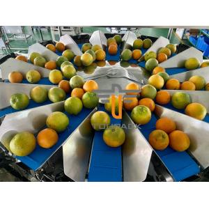 Oranges Food Grade 5.0L 14 Head Multihead Weigher