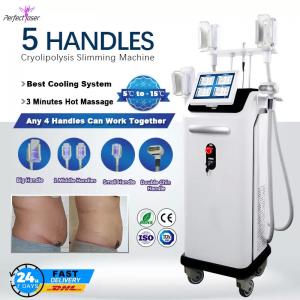 Professional Fat Freezing Cryolipolysis Machine Slimming Weight Loss Fat Reduction