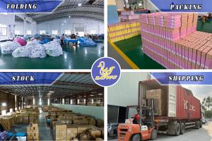 Huizhou Licheng Inflatable Toys Product Co., Ltd.