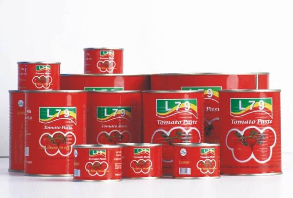 qualidade enlatada natural da venda quente da fábrica da pasta de tomate boa