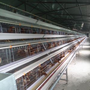 China 4 Tier Battery Chicken Cage Battery Farm Chickens Cage For Poultry House on sale 