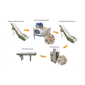 China High Output Garlic Processing Production Line/Garlic Peeling Peeler Machine supplier