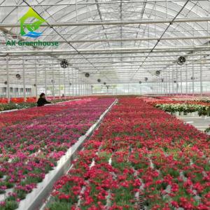 Hot Dip Galvanized Steel Plastic Film Greenhouse 3-8m Gutter Four Seasons Greenhouse