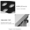 China 36W LED Flood Light with Color Changing Feature for Outdoor Tree Lighting IP65 Aluminum Lamp Body AC Power Supply wholesale