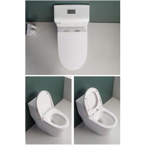 Siphonic S Trap 300mm Sanitary Ware Toilet Modern Comfort Height
