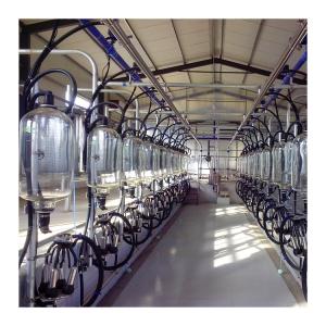 China 24-100 point Cow High Efficient Dairy Milking Parlor Dairy Farm Machine wholesale