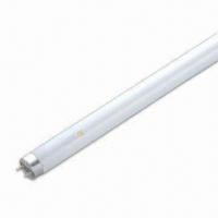 T5/T8 Triphosphor Fluorescent Tube with Energy Saving Class A Rate, Available in 4 to 80W Power